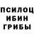 Псилоцибиновые грибы GOLDEN TEACHER Partha Pratim