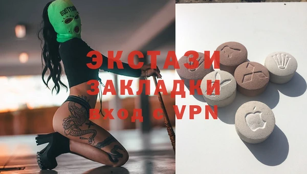 СК Алексин