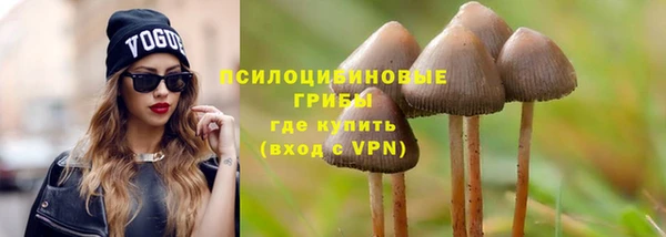 apvp Абаза