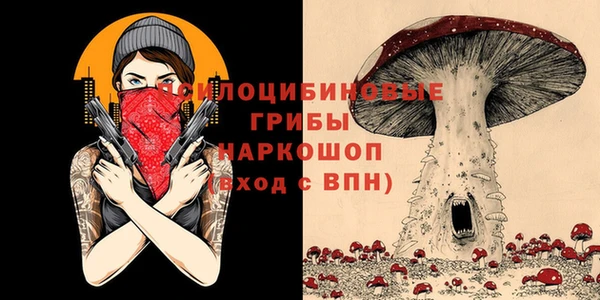 apvp Абинск