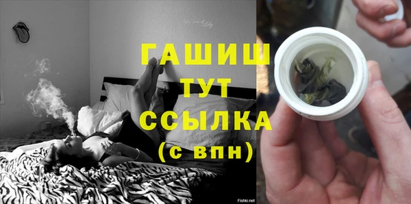 СК Алексин
