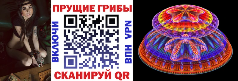 Псилоцибиновые грибы MAGIC MUSHROOMS mega ссылки Элиста